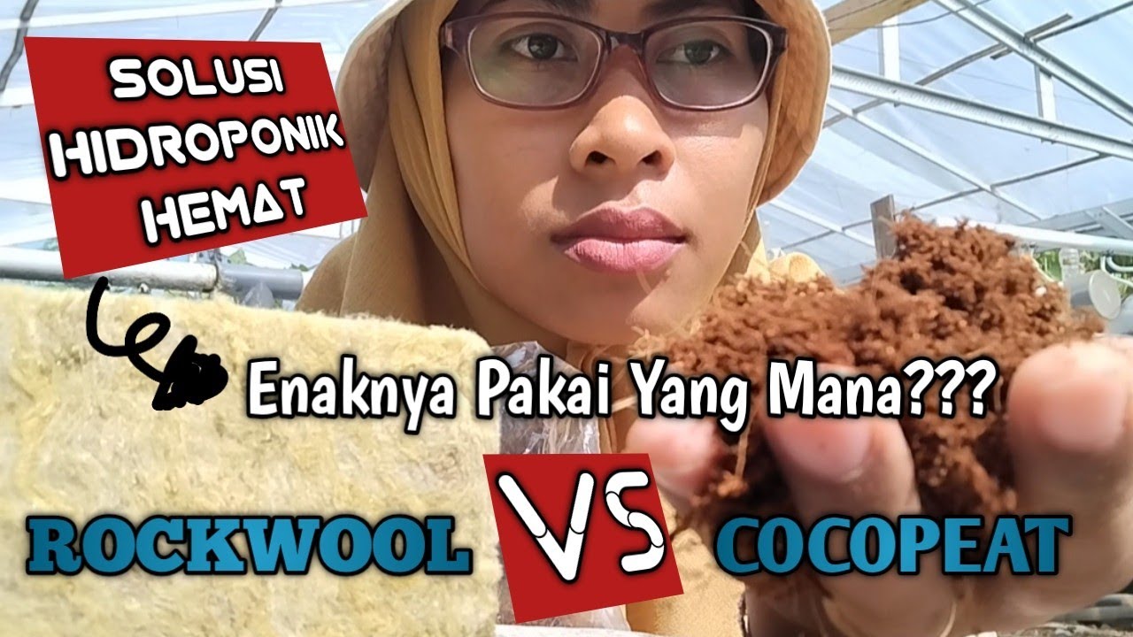Analisis Cocopeat Dan Rockwool