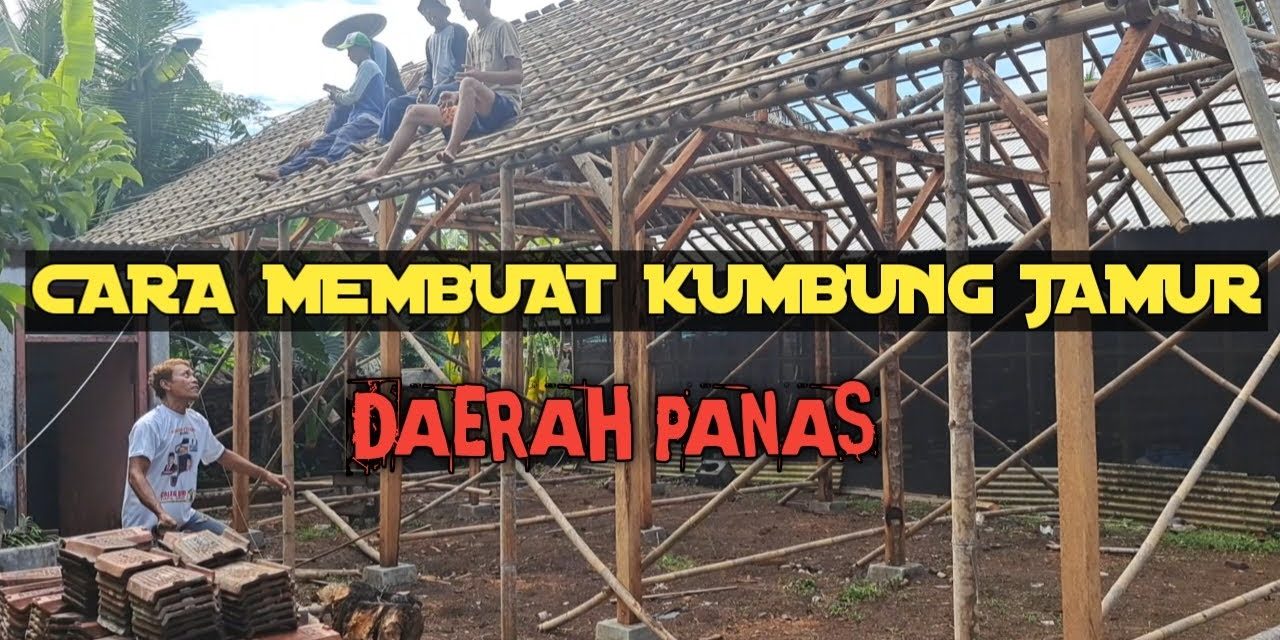 Cara Membuat Kumbung Jamur Tiram Untuk Panen Maksimal