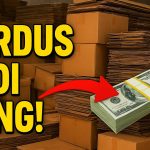 Peluang Bisnis Kardus Bekas Bisa Di Sulap Jadi Uang