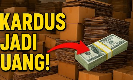 Peluang Bisnis Kardus Bekas Bisa Di Sulap Jadi Uang