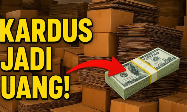 Peluang Bisnis Kardus Bekas Bisa Di Sulap Jadi Uang