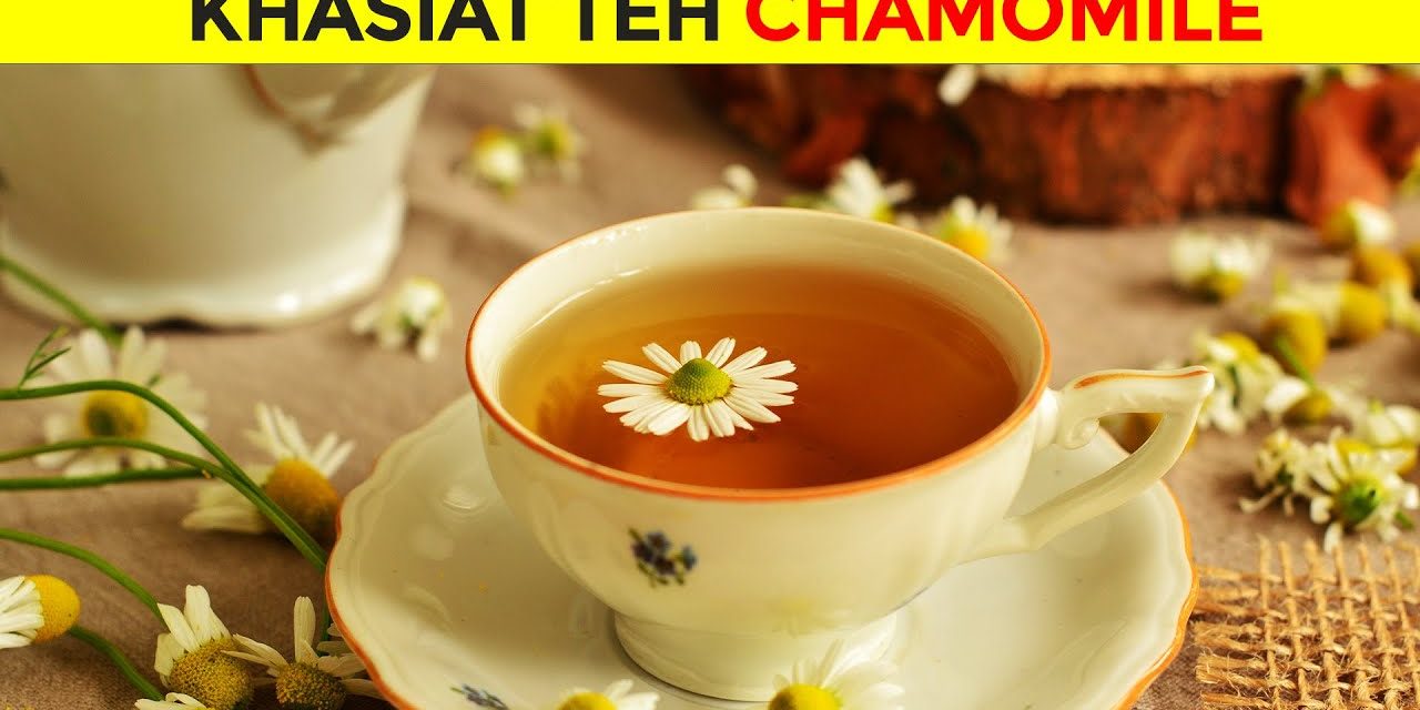 Chamomile Tea Yang Memiliki Sejuta Manfaat Untuk Kesehatan