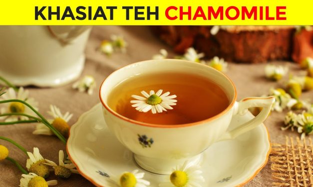 Chamomile Tea Yang Memiliki Sejuta Manfaat Untuk Kesehatan