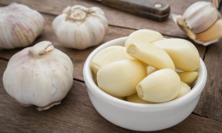 Bawang Putih Dapat Mengoptimalkan Sistem Imun Tubuh