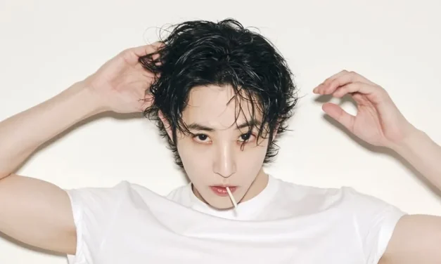 Lee Soo Hyuk Seorang Aktor Dan Model Dengan Penampilan Unik