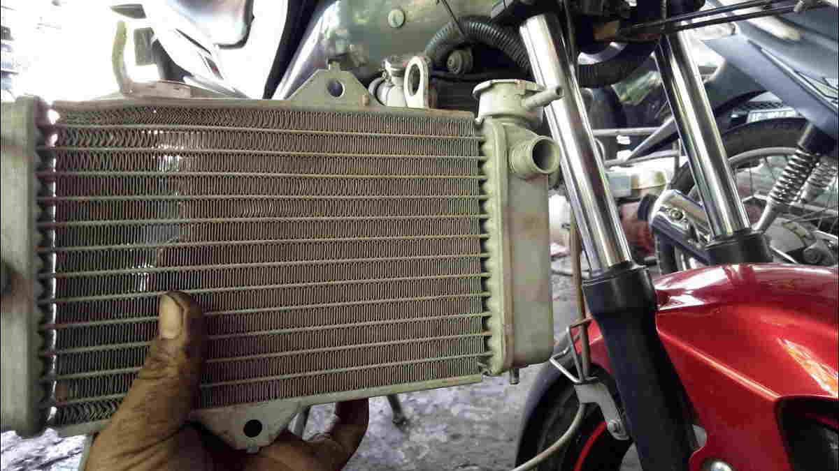 Radiator Motor