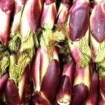 Sayuran Liar Vietnam Di nobatkan Makanan Nomor Satu Di Dunia