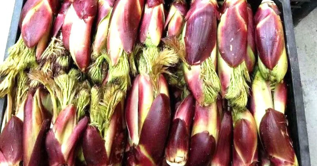Sayuran Liar Vietnam Di nobatkan Makanan Nomor Satu Di Dunia